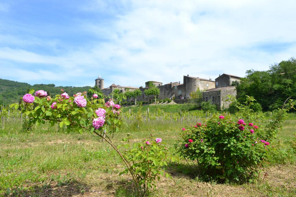 D'hotes Domaine Du Hameau Baylesse Affittacamere Saint-Jean-d'Aigues-Vives