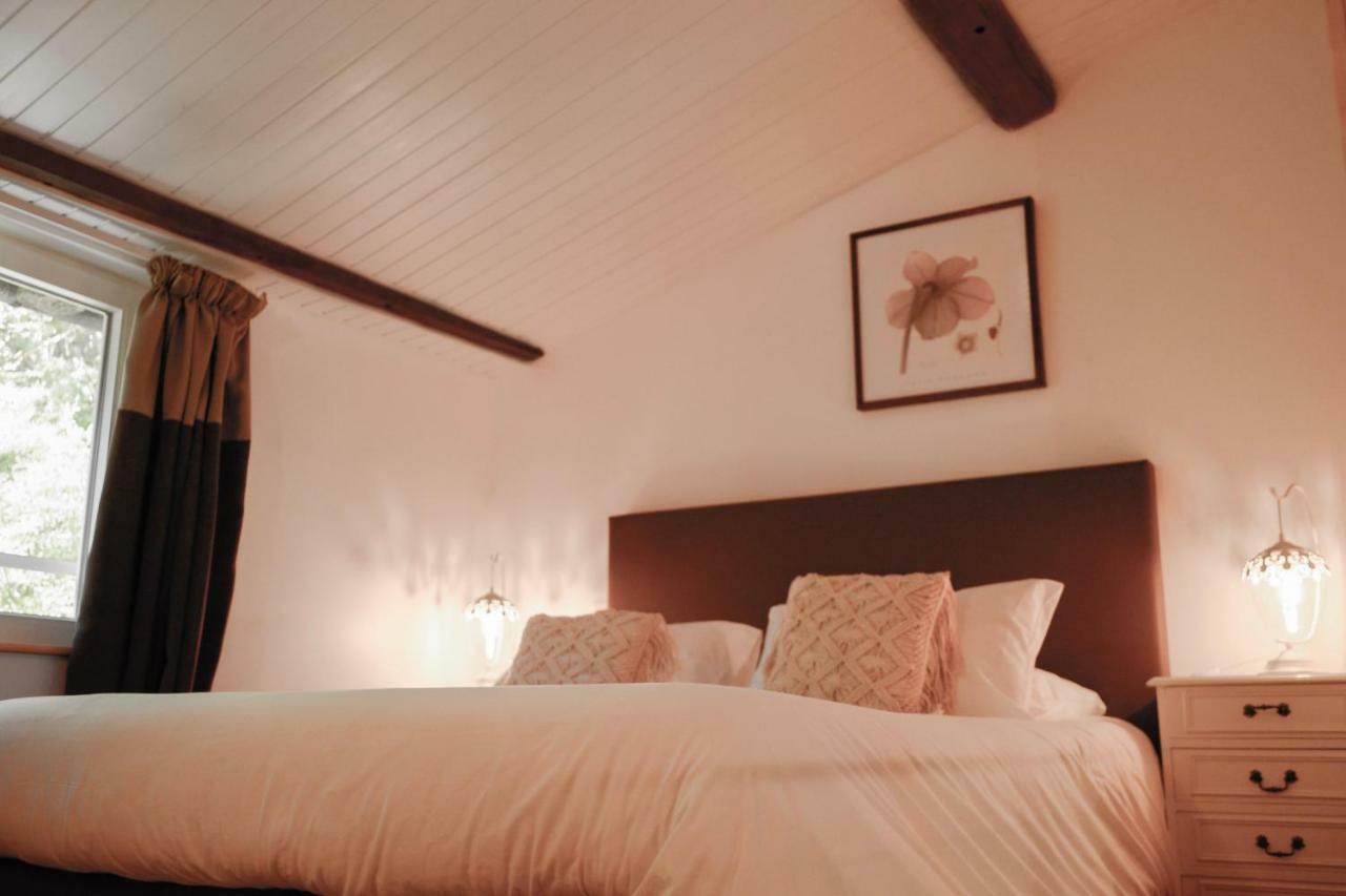 Affittacamere D'hotes Domaine Du Hameau Baylesse Saint-Jean-d'Aigues-Vives